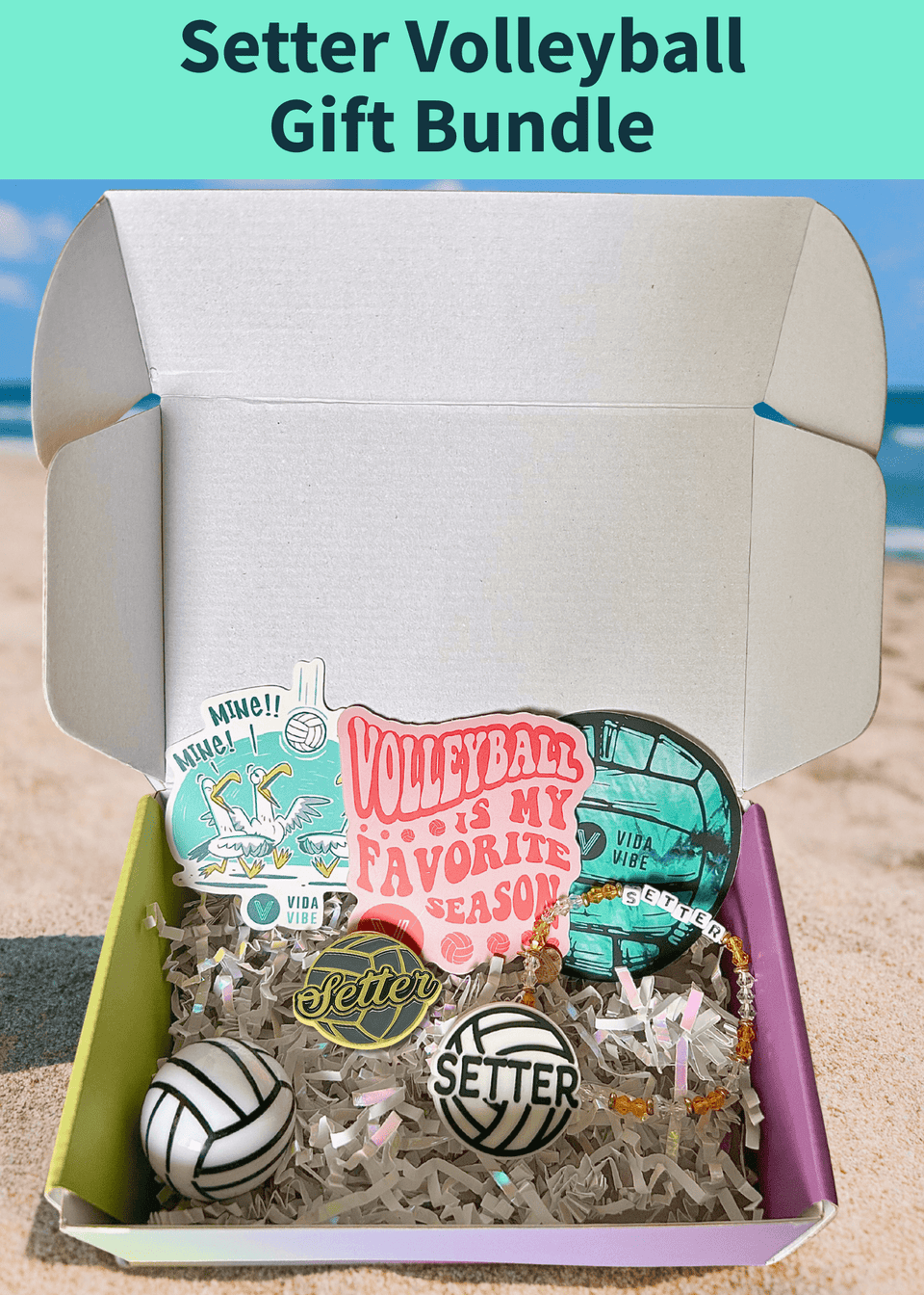 Setter Gift Bundle